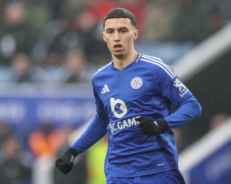 记者：水晶宫与莱斯特城接近谈妥埃尔哈努斯，总价超3000万镑